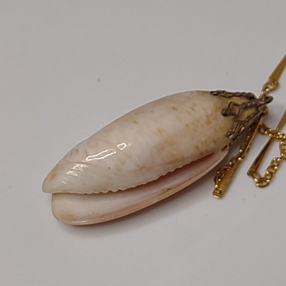 Cute 18 Inch Shell Pendant Necklace - Picture 9 of 16